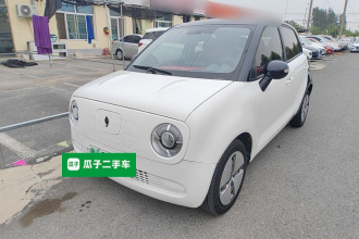 欧拉黑猫 2021款 301km 基础型