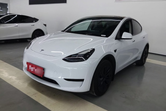 特斯拉 Model Y 2024款 后轮驱动版