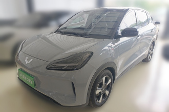 五菱汽车 五菱缤果PLUS 2024款 510km 五座版