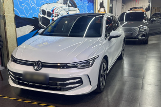 大众 高尔夫 2025款 300TSI Pro