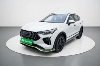 哈弗赤兔 2021款 激擎版 1.5T 黄金兔