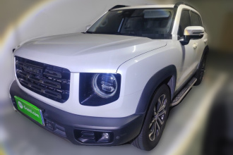 哈弗大狗 2021款 1.5T DCT两驱边牧版