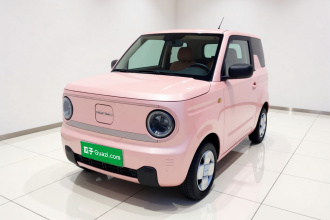 吉利银河 2023款 熊猫mini 200km 耐力熊