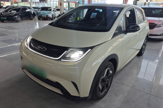 比亚迪 海豚 2025款 420km 活力版