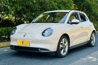 欧拉好猫 2023款 401km标准续航 豪华型 磷酸铁锂