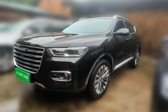 哈弗H6 2020款 1.5GDIT 自动铂金豪华版