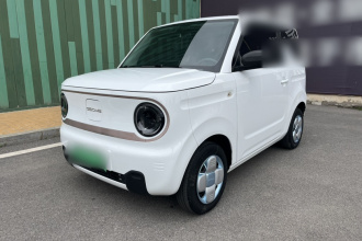 吉利银河 2023款 熊猫mini 200km 耐力熊