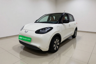 五菱汽车 五菱缤果 2023款 410km 灵犀尊享款