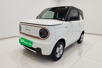 吉利银河 2024款 熊猫mini 200km 耐力熊