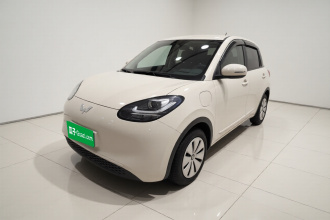五菱汽车 五菱缤果 2024款 203km 轻享款