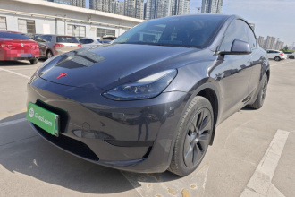 特斯拉 Model Y 2024款 后轮驱动版