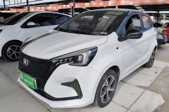 长安 奔奔E-Star 2020款 心动版 磷酸铁锂（31.95kWh）