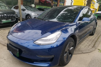 特斯拉 Model 3(进口) 2019款 长续航后驱版