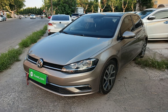 大众 高尔夫 2019款 280TSI DSG豪华型 国V
