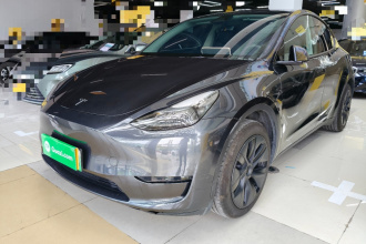 特斯拉 Model Y 2024款 后轮驱动版