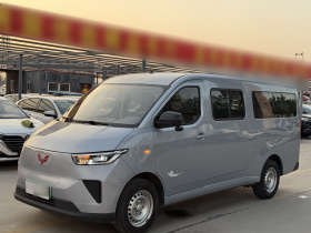 五菱汽车 五菱扬光 2024款 300km 舒适型客车版 75kW