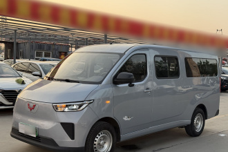 五菱汽车 五菱扬光 2024款 300km 舒适型客车版 75kW