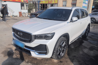 吉利汽车 星越L 2021款 2.0TD DCT EVO两驱尊贵型