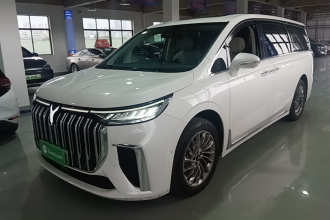 岚图汽车 岚图梦想家 2022款 低碳版 梦+智享包