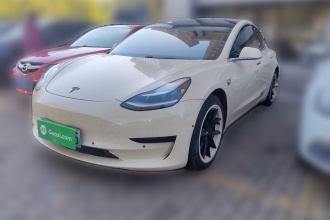 特斯拉 Model 3 2019款 标准续航后驱升级版