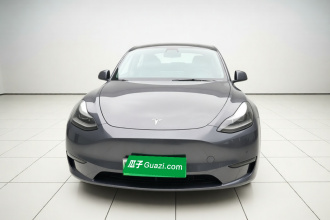 特斯拉 Model Y 2021款 标准续航后驱版