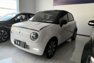 欧拉黑猫 2022款 351km 标准型 三元锂