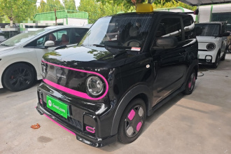 吉利银河 2025款 210km 熊猫卡丁