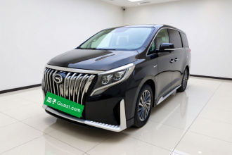 广汽传祺 传祺M8 2021款 大师系列 390T 至尊版