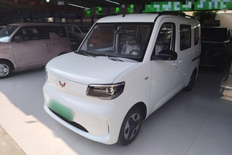 五菱汽车 五菱之光新能源 2025款 305km 进取型