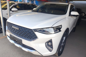 哈弗F7x 2019款 1.5T 两驱极智潮玩版