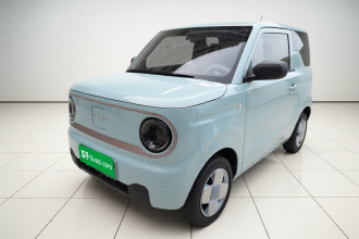 吉利银河 2024款 改款 熊猫mini 200km 龙腾版