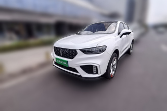 魏牌 VV5 2020款 1.5T 两驱颜先锋