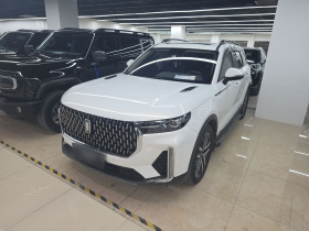 奔腾T99 2020款 20TD 自动尊享型