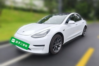 特斯拉 Model 3(进口) 2019款 长续航后驱版