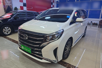 广汽传祺 传祺M8 2021款 领秀系列 390T 尊贵版