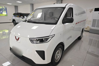 五菱汽车 五菱扬光 2024款 300km 实用型封窗版 60kW