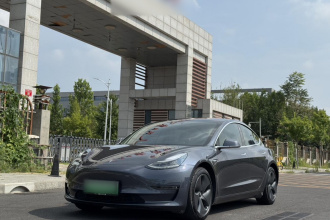 特斯拉 Model 3(进口) 2019款 长续航全轮驱动版