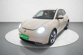 欧拉好猫 2023款 401km标准续航 豪华型 磷酸铁锂