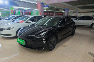 特斯拉 Model 3 2019款 标准续航后驱升级版