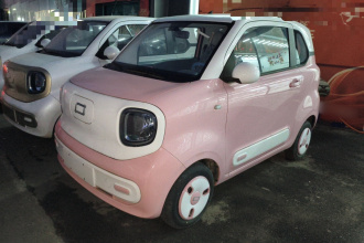 奔腾小马 2024款 170km 元气马