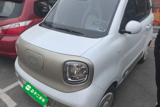 奔腾小马 2024款 170km 元气马