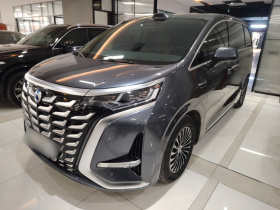 腾势D9 2025款 DM-i 智驾版 1020 四驱旗舰型