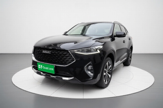 哈弗F7x 2019款 1.5T 两驱极智潮玩版