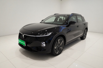 岚图汽车 岚图知音 2024款 四驱全球版