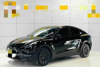 特斯拉 Model Y 2024款 长续航全轮驱动版