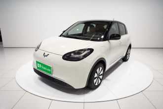 五菱汽车 五菱缤果 2025款 333km 悦享款