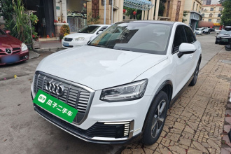 奥迪Q2L e-tron 2019款 Q2L e-tron 纯电智享型