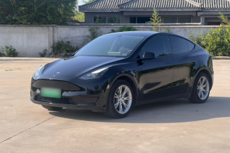 特斯拉 Model Y 2022款 后轮驱动版