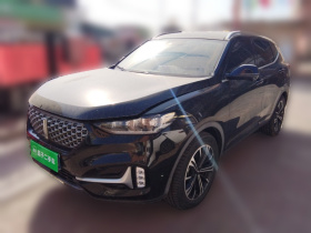 魏牌 VV6 2020款 2.0T 两驱智护+