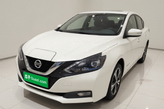 日产 轩逸·纯电 2018款 智尊版